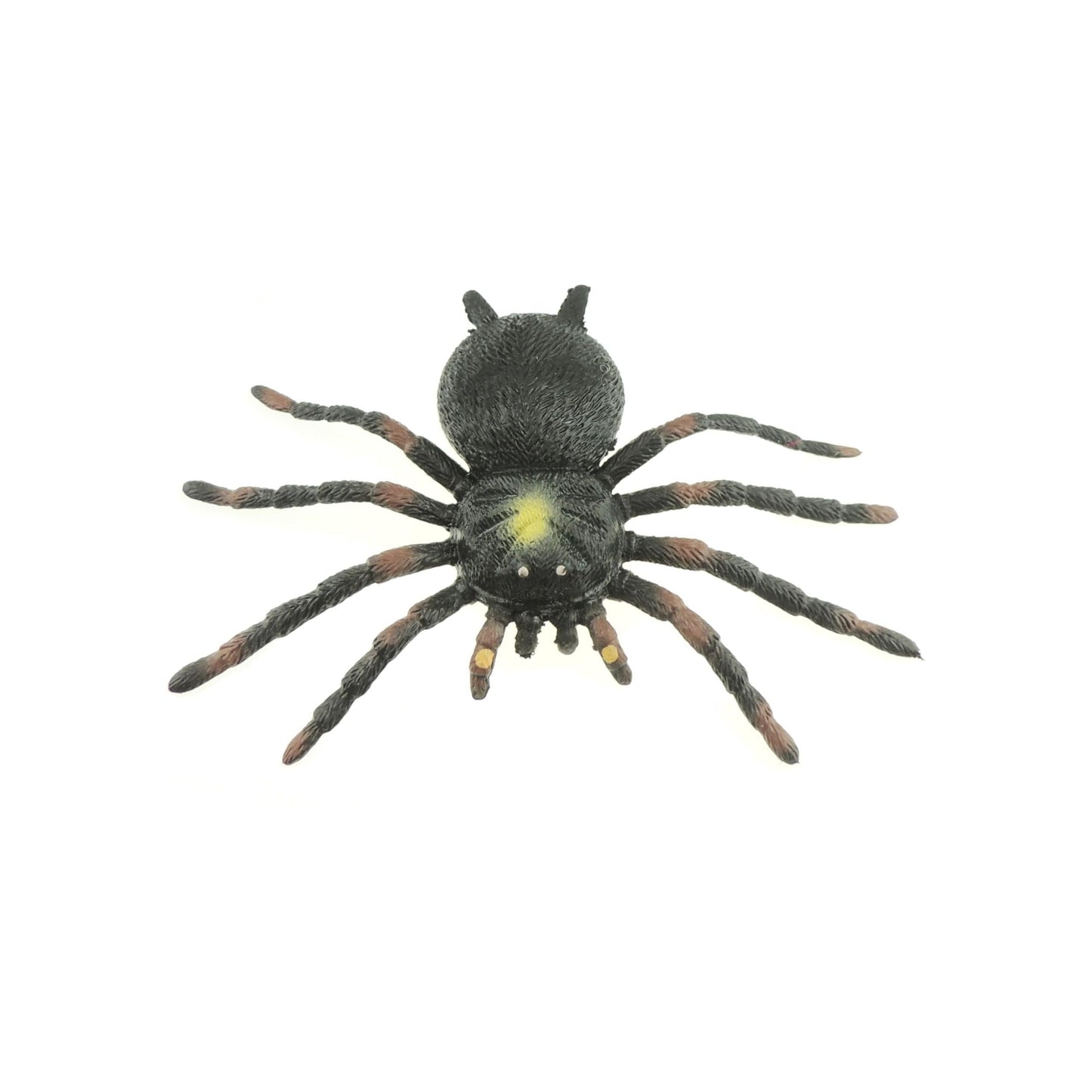 Glamour Girlz Kids Childrens Stretchy Tarantula Spider Insect Spotted Black Lifelike Realistic Play Educational Sensory ADHD Stress Relief Figurine Toy Figures Figurine (Black Yellow Spotted)