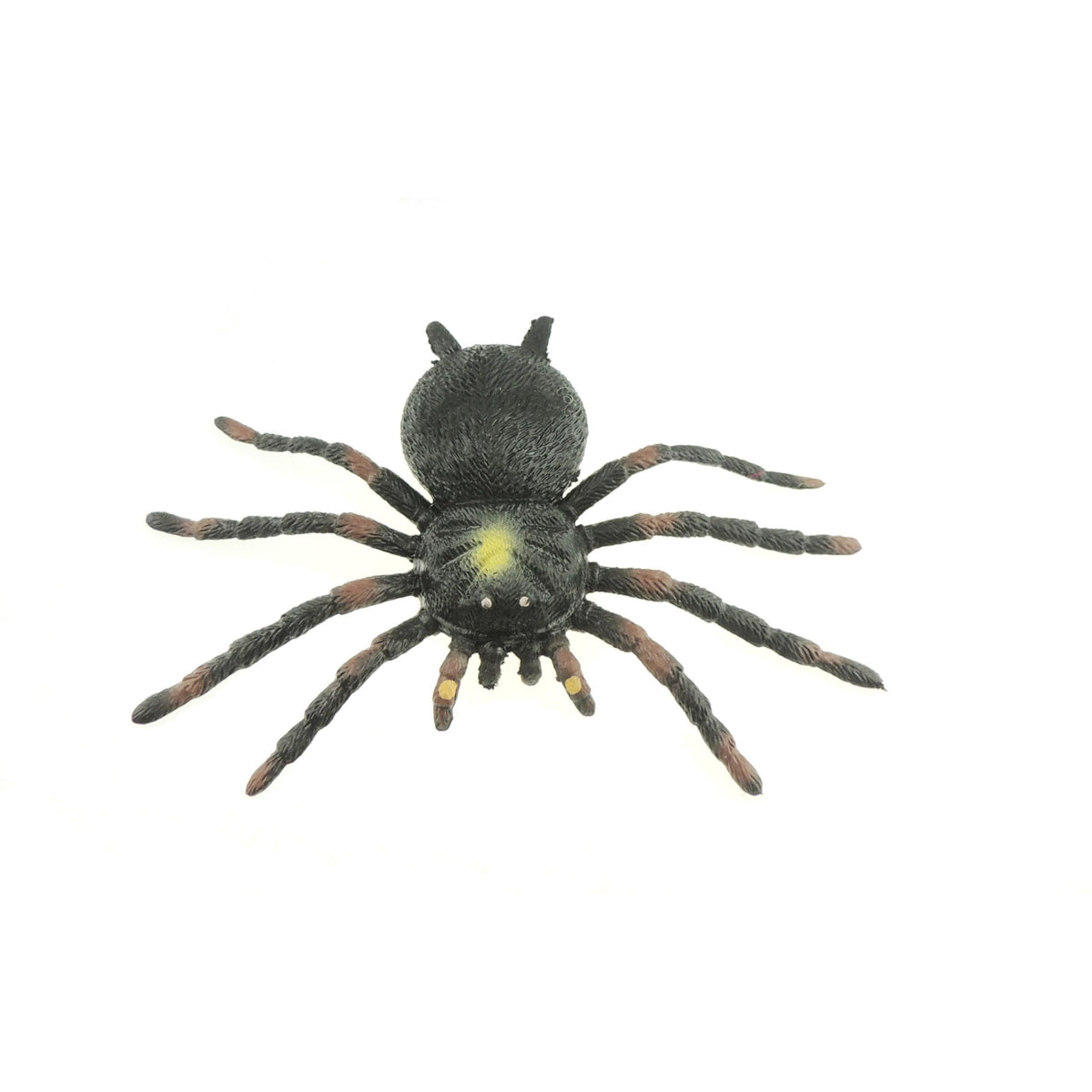 Glamour Girlz Kids Childrens Stretchy Tarantula Spider Insect Spotted Black Lifelike Realistic Play Educational Sensory ADHD Stress Relief Figurine Toy Figures Figurine (Black Yellow Spotted)