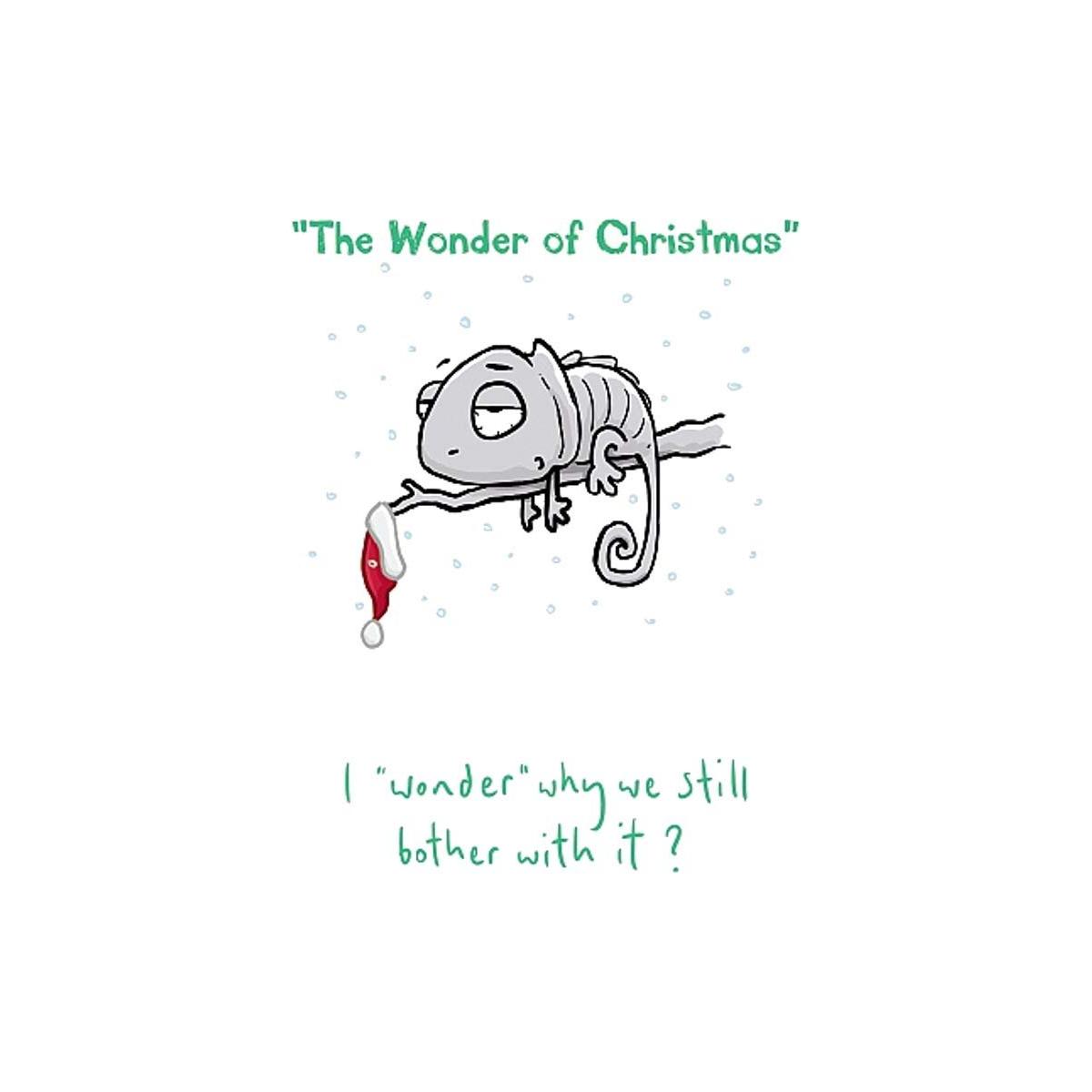 Sarcastic Christmas Cards - Generic, Funny & Rude Xmas Cards