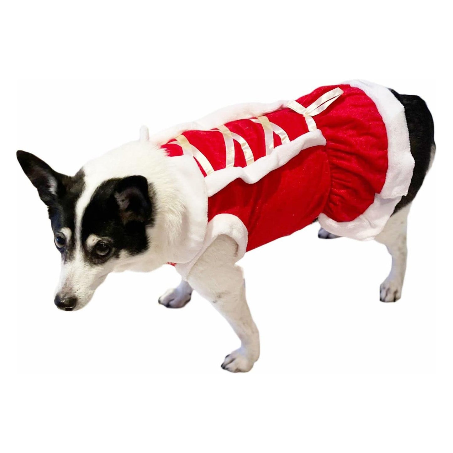 Cute Festive Red Funny Santa Claus Christmas Party Boy Girl SMALL DOG BREED ONLY Puppy Kitten Cat Warm Fleece Costume Clothes Jumper Dress Skirt Walking Coat Hoodie Outfit (M, White Ribbon)