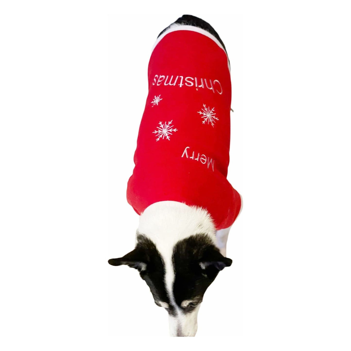 Glamour Girlz SMALL DOG BREED ONLY Puppy Kitten Cat Cute Festive Red Funny Claus Father Santa Party Boy Girl Warm Winter Fleece Costume Clothes Jumper Sweatshirt T-Shirt Hoodie Outfit Merry Christmas