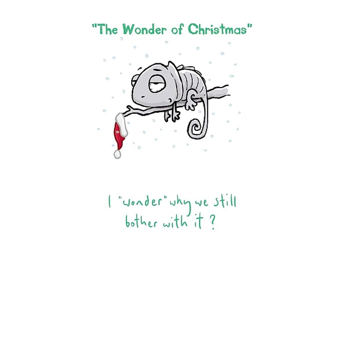 Sarcastic Christmas Cards - Generic, Funny & Rude Xmas Cards