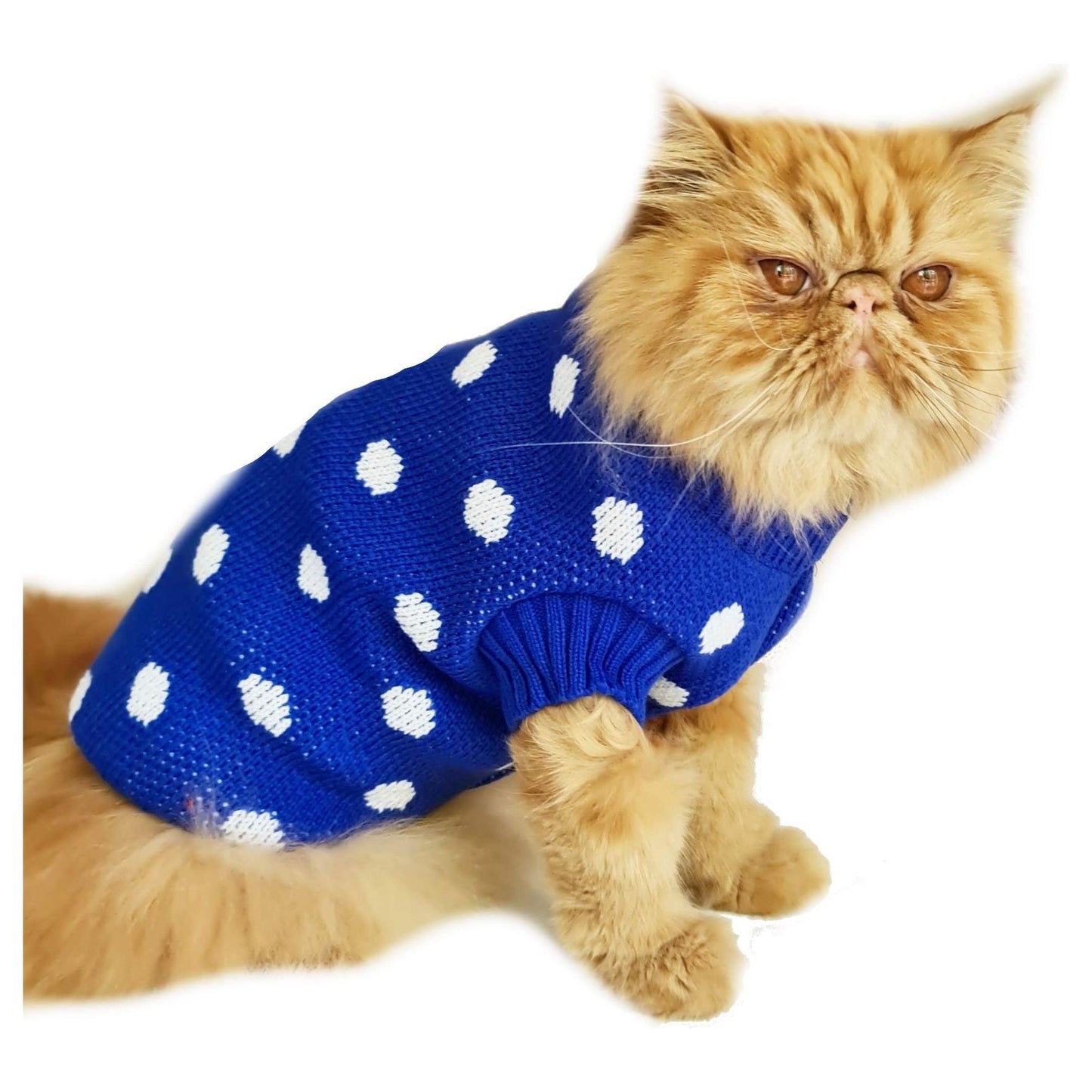 Super Cute Small Dog Breed ONLY Girls Pink Boy Blue Dogs Warm Knit Polka Dot Jumper