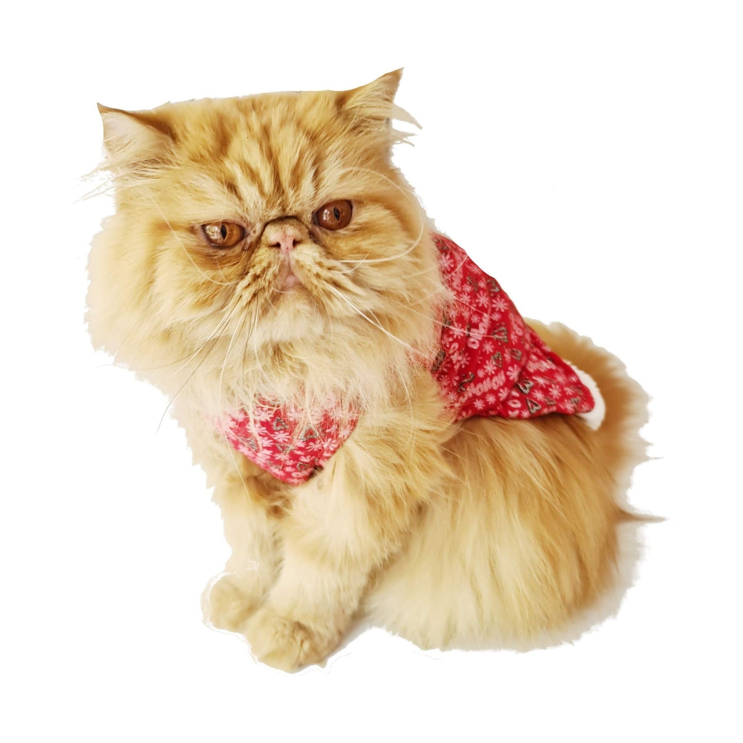 Cute Funny SMALL DOG ONLY Doggie Puppy Cat Outfit Winter Girl Boy Jumper Coat Cape Clothes Hoodies Fancy Dress Costume Ideas Dress Christmas Xmas Red Santa Claus Heart Ho Ho Ho Dress (Small)