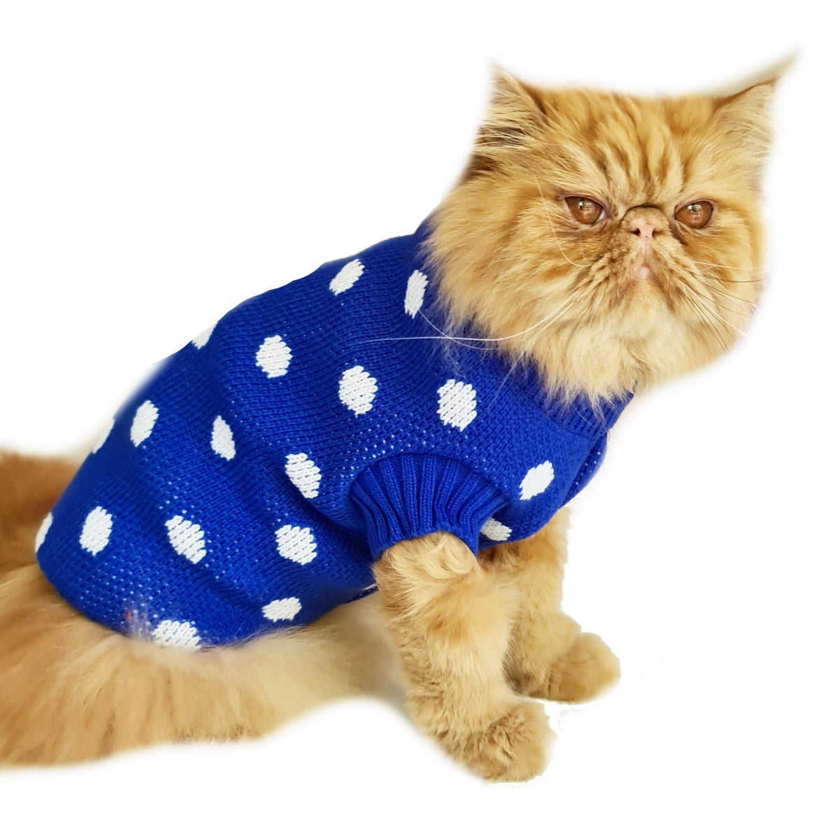 Super Cute Small Dog Breed ONLY Girls Pink Boy Blue Dogs Warm Knit Polka Dot Jumper
