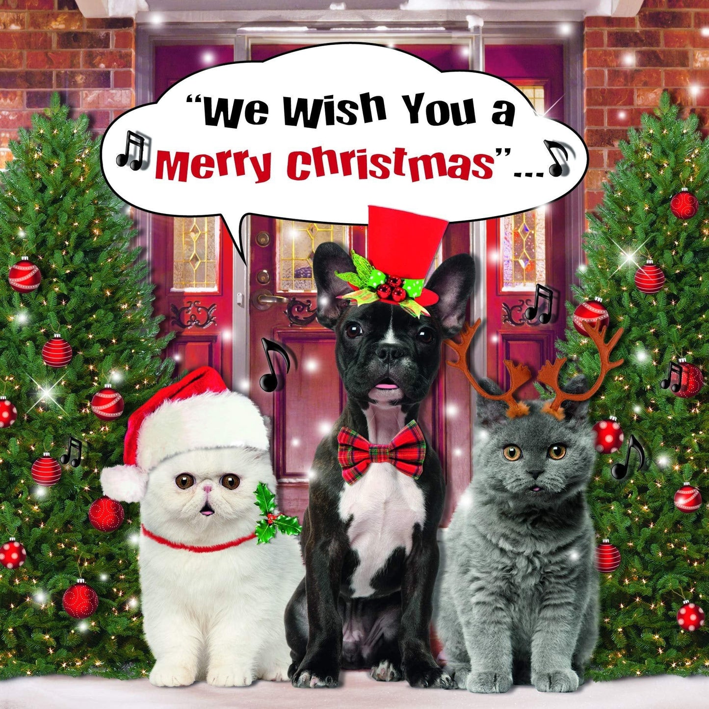 Cute Dogs & Cats, Cat Xmas Card, Christmas Card Generic, Cute Christmas Cards, Christmas Card For Her, Xmas Card, Generic Christmas Card, Christmas Card,Dog Christmas Cards, Christmas Cards For Him