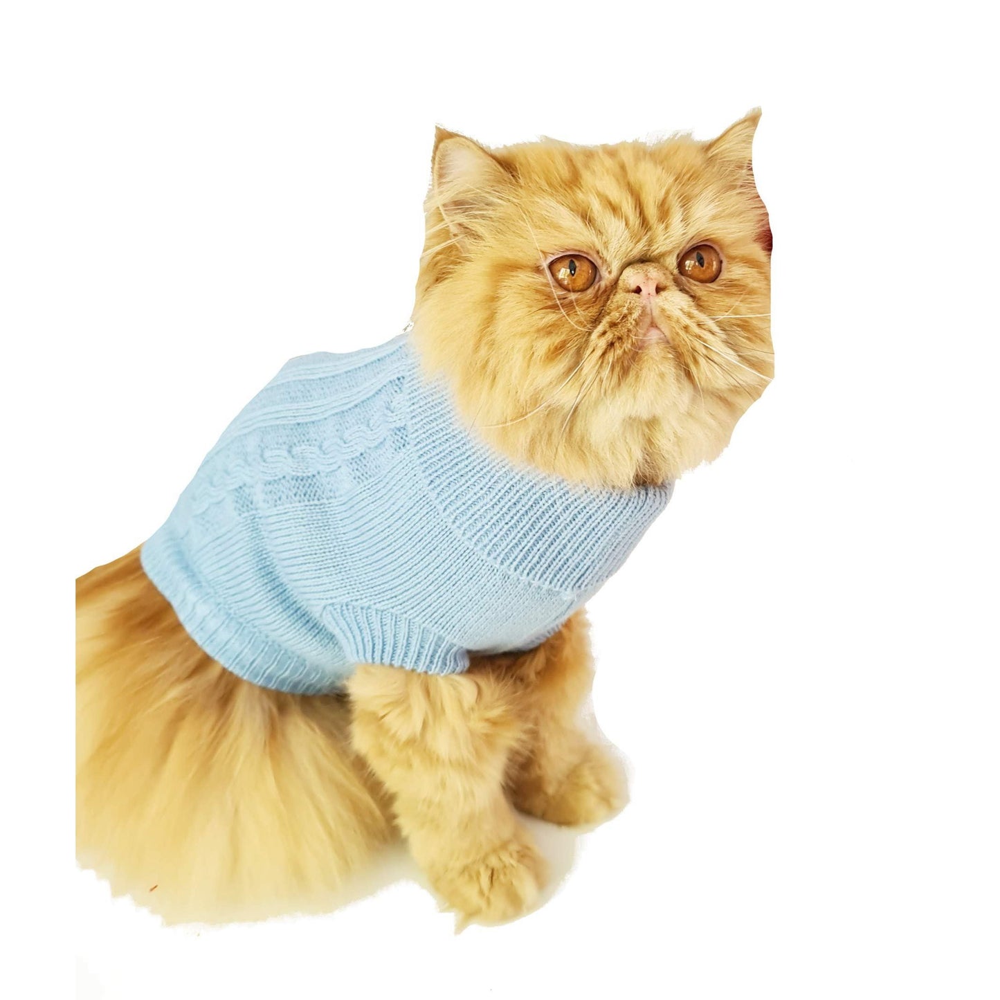 Cute Funny SMALL DOG ONLY Doggy Puppy Kitten Outfit Warm Everyday Walking Winter Girl Boy T-Shirt Jumper Coat Clothes Hoodies Costume Ideas Pullover Knitted Sweater Apparel Blue Cable Knit