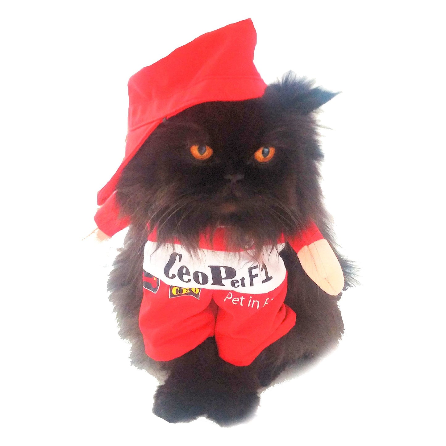 Cute Funny SMALL DOG ONLY Doggie Puppy Cat Accessories Halloween Outfit Fleece Warm Winter Girl Boy Jumper Coat Clothes Hoodies Fancy Dress Costume Ideas Pullover Racing Car Driver