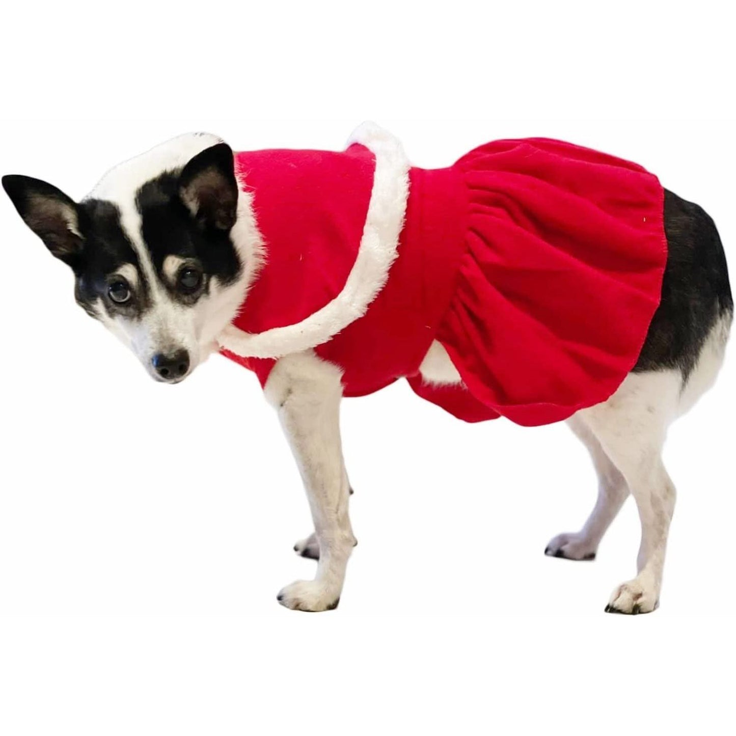 Cute Festive Red Funny Santa Claus Father Christmas Party Boy Girl SMALL DOG BREED ONLY Puppy Kitten Cat Warm Winter Fleece Costume Clothes Jumper Dress Skirt Coat Walking Hoodie Outfit (XXL)