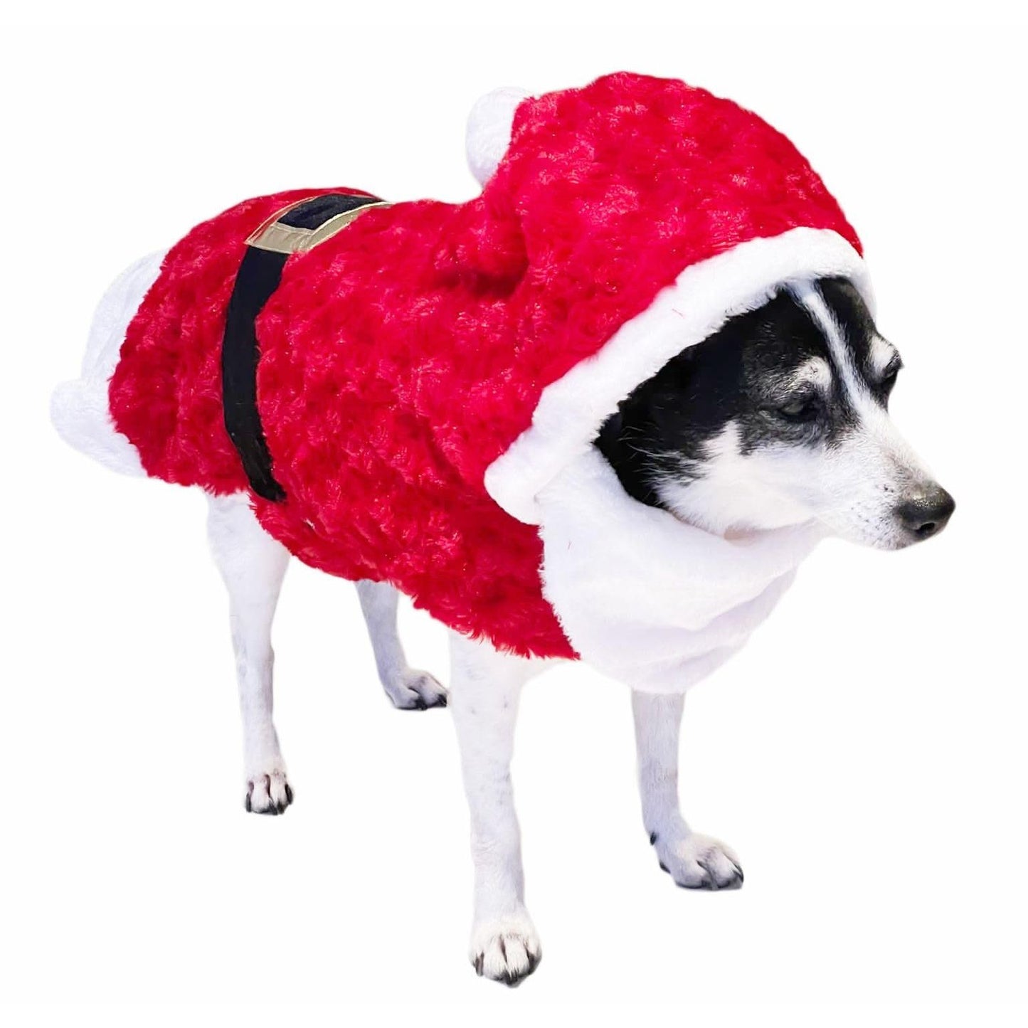 Cute Festive Red Funny Santa Claus Father Christmas Party Boy Girl SMALL DOG BREED ONLY Puppy Kitten Cat Warm Winter Fleece Costume Clothes Jumper Dress Skirt Coat Walking Hoodie Outfit (M)