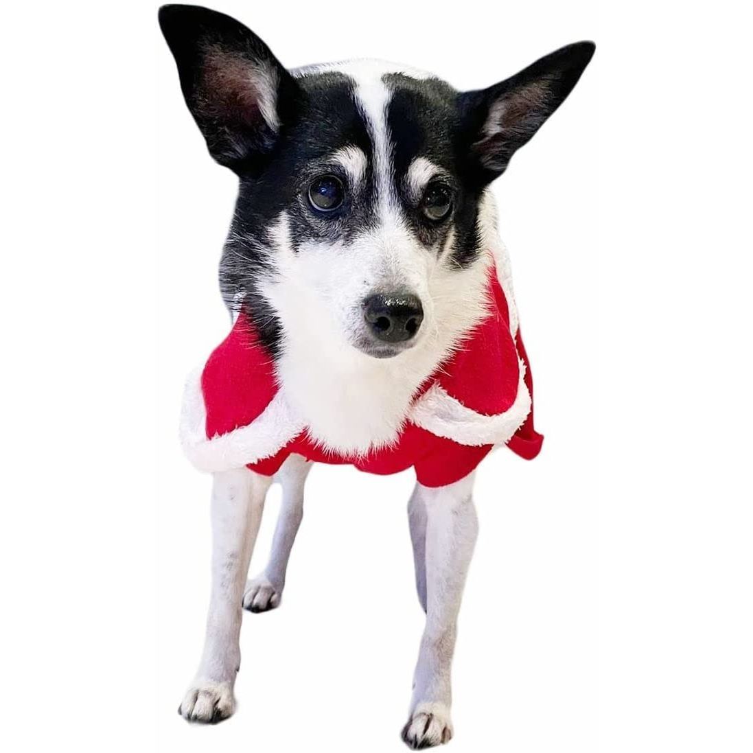 Cute Festive Red Funny Santa Claus Father Christmas Party Boy Girl SMALL DOG BREED ONLY Puppy Kitten Cat Warm Winter Fleece Costume Clothes Jumper Dress Skirt Coat Walking Hoodie Outfit (XXL)