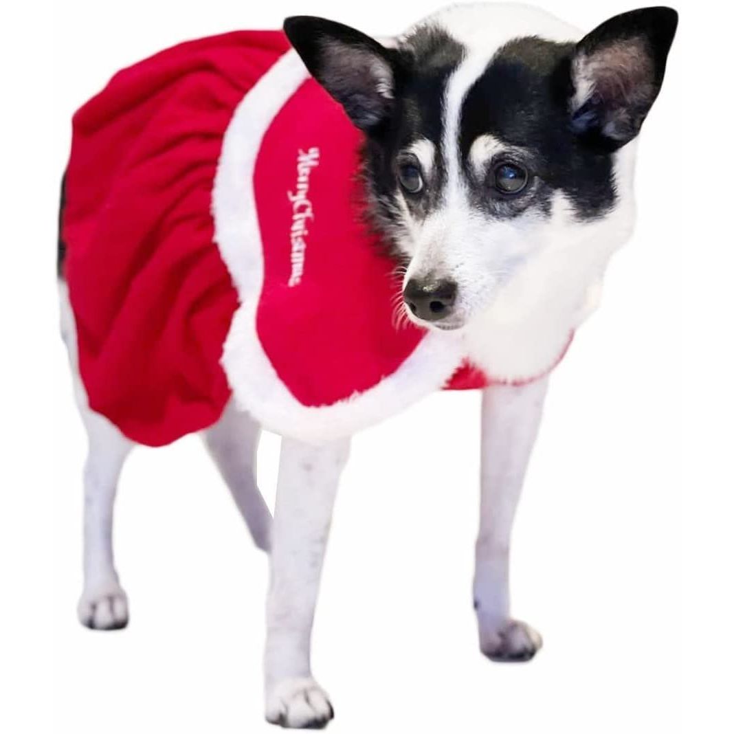 Cute Festive Red Funny Santa Claus Father Christmas Party Boy Girl SMALL DOG BREED ONLY Puppy Kitten Cat Warm Winter Fleece Costume Clothes Jumper Dress Skirt Coat Walking Hoodie Outfit (XXL)