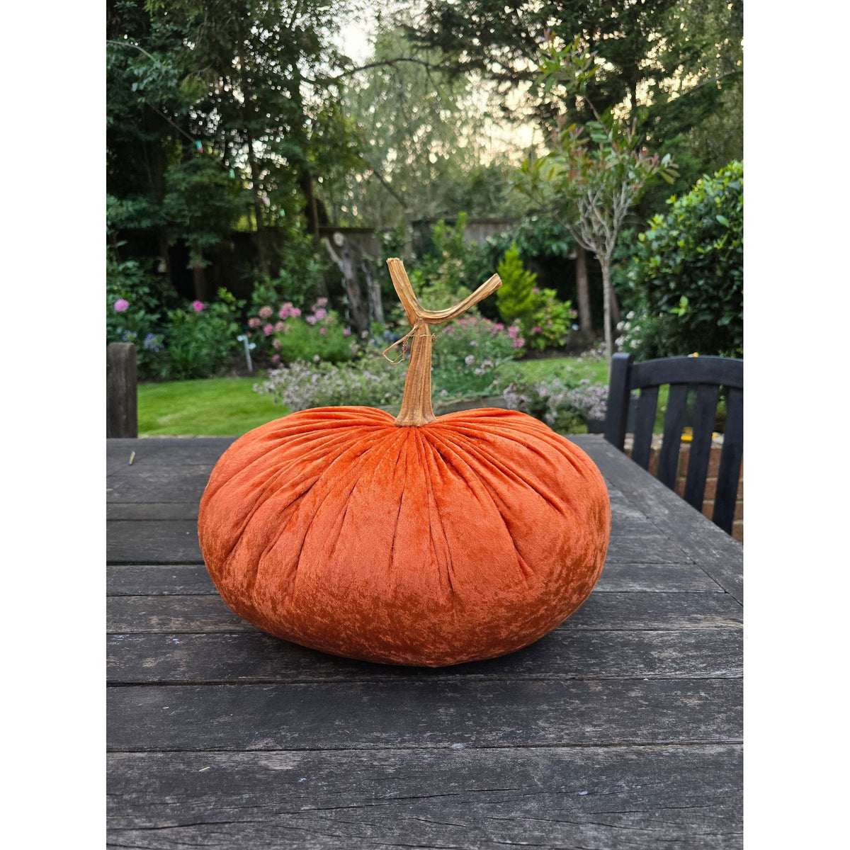 Jumbo XXL Classic Velvet Pumpkin with Real Stem