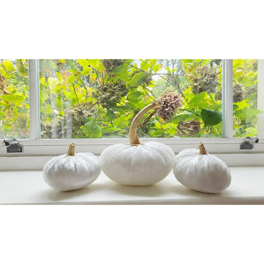 White Velvet Pumpkin Small Set of 3, Autumn Wedding Centrepiece, Bridal Shower Fall Table Decor