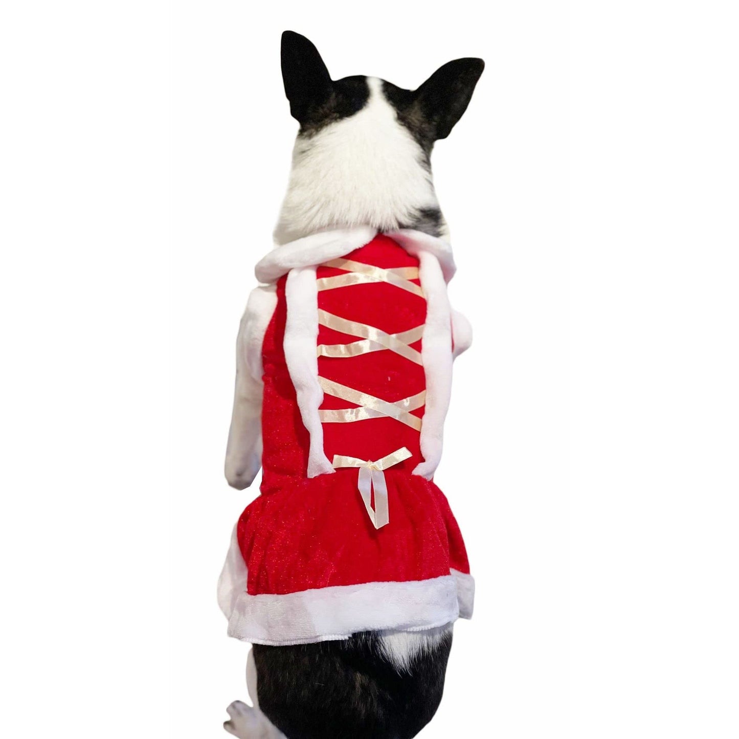 Cute Festive Red Funny Santa Claus Christmas Party Boy Girl SMALL DOG BREED ONLY Puppy Kitten Cat Warm Fleece Costume Clothes Jumper Dress Skirt Walking Coat Hoodie Outfit (M, White Ribbon)