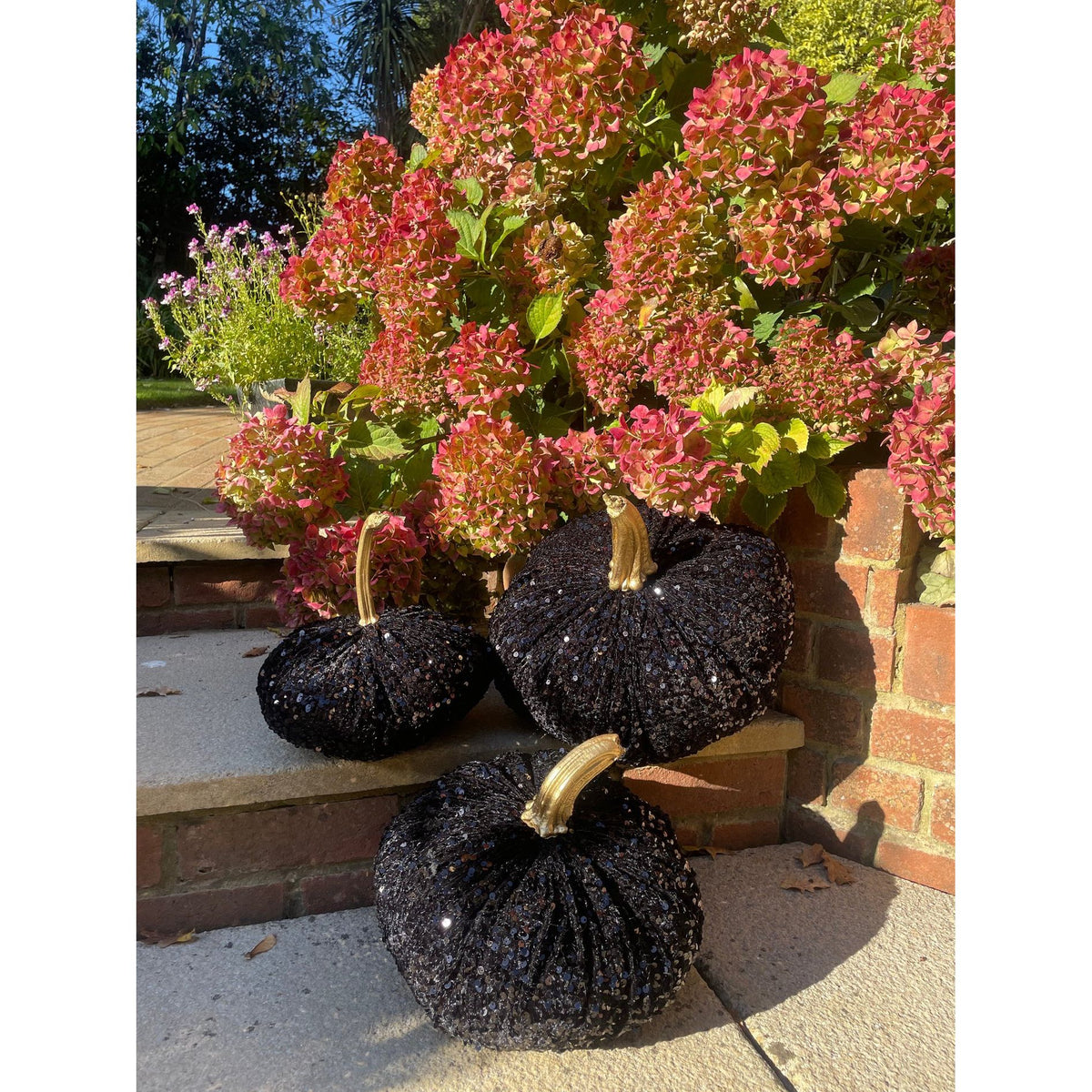 Extra Large Sparkly Velvet Sequin Pumpkin with Real Stem