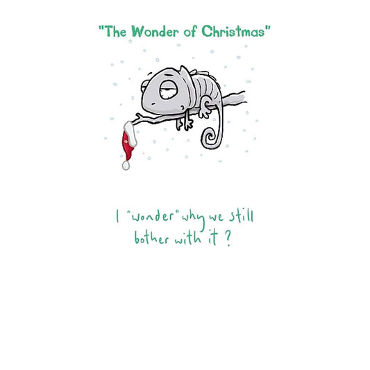 Sarcastic Christmas Cards - Generic, Funny & Rude Xmas Cards