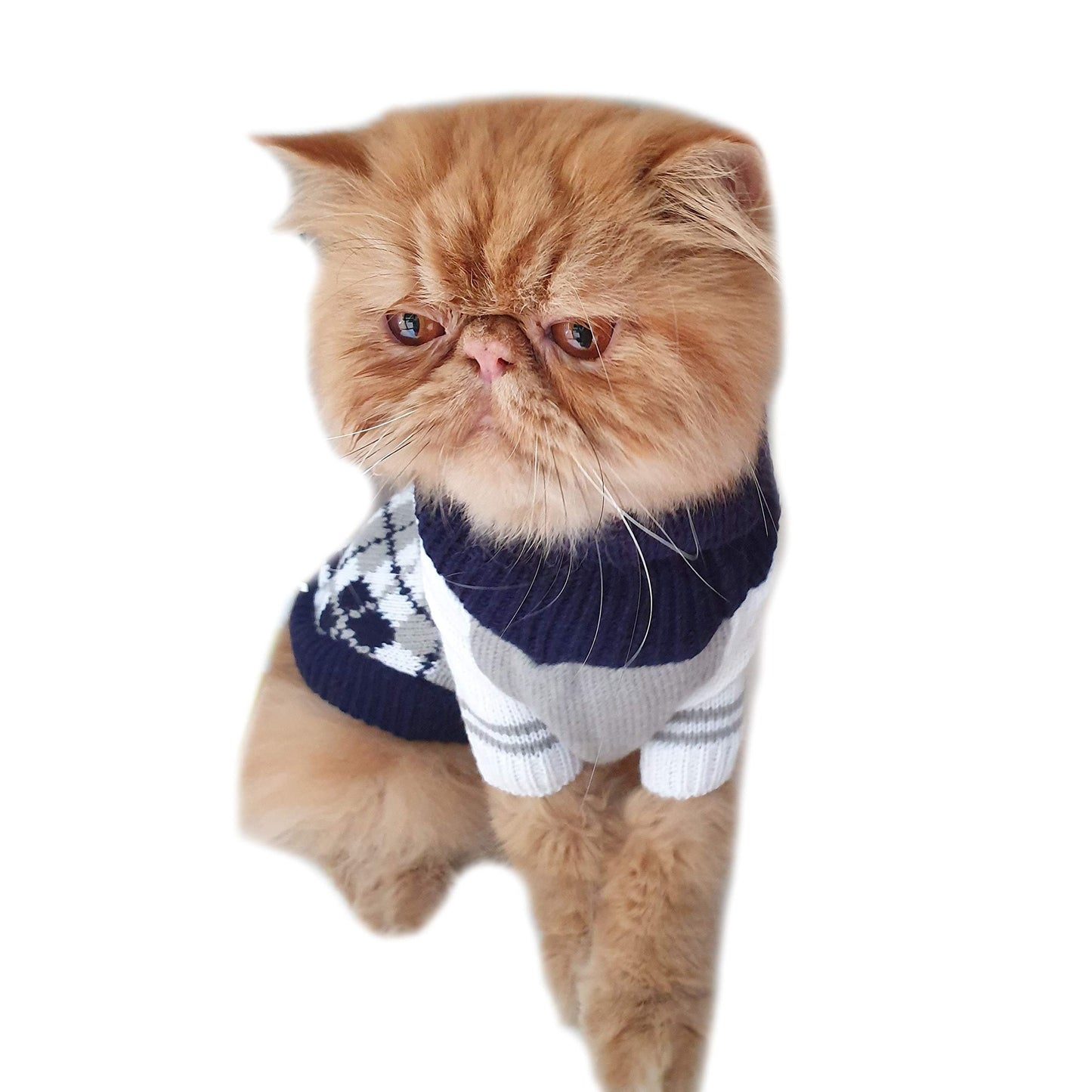 Cute SMALL DOG ONLY Puppy Cat Birthday Christmas Outfit Fleece Winter Girl Boy Jumper Coat Clothes Hoodies Costume Pullover Knitted Knit Sweater Sweatshirt Navy Blue Grey Plaid Tartan Argyle