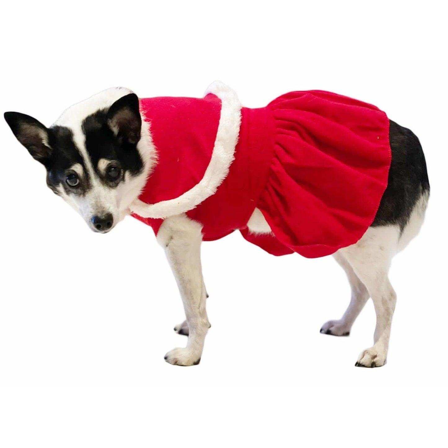 Cute Festive Red Funny Santa Claus Father Christmas Party Boy Girl SMALL DOG BREED ONLY Puppy Kitten Cat Warm Winter Fleece Costume Clothes Jumper Dress Skirt Coat Walking Hoodie Outfit (XXL)